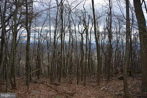 rockwood trail, Winchester, VA 22602