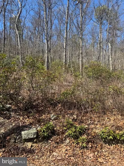 Fox Trail, Winchester, VA 22602