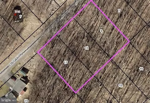 lot9 11 13 Cougar Trl, Winchester, VA 22602