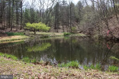 13 Hodges Lane, Winchester, VA 22603