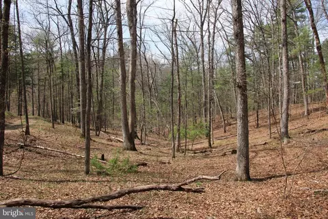 12 Hodges Lane, Winchester, VA 22603