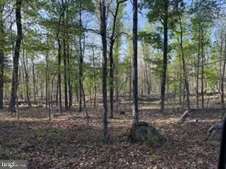 507 Easter Ridge Ln, Winchester, VA 22603