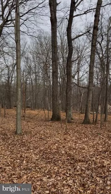 winding ridge lane LOT 10, Winchester, VA 22603