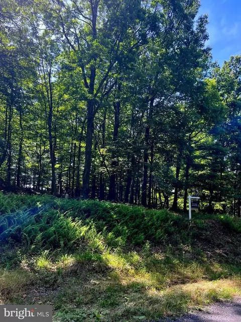 tbd Brill Rd, Star Tannery, VA 22654