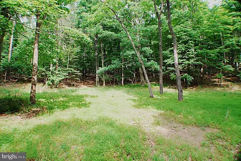 lot5 Snake, Winchester, VA 22603