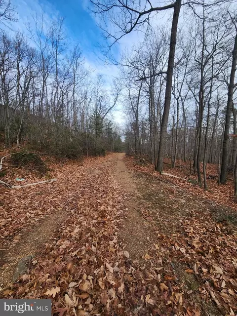 Belwort Trail, Star Tannery, VA 22654