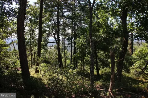 Wolf Spring Trail, Winchester, VA 22602 photo 4