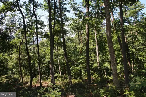 Wolf Spring Trail, Winchester, VA 22602 photo 17