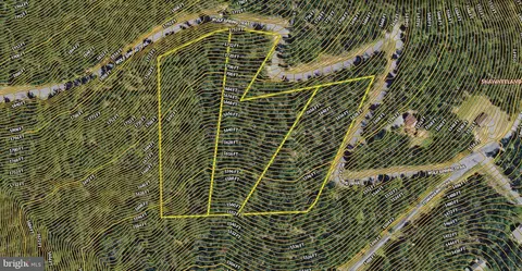 Wolf Spring Trail, Winchester, VA 22602 photo 23
