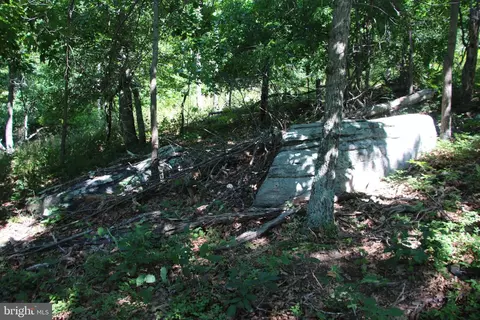 Wolf Spring Trail, Winchester, VA 22602 photo 9