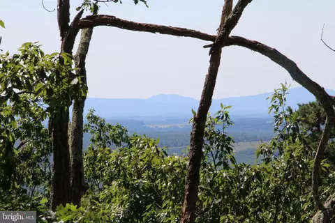 Wolf Spring Trail, Winchester, VA 22602 photo 2