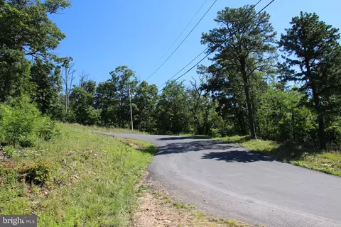 Wolf Spring Trail, Winchester, VA 22602 photo 13