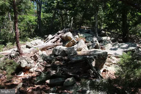 Wolf Spring Trail, Winchester, VA 22602 photo 11