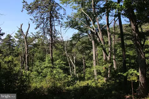 Wolf Spring Trail, Winchester, VA 22602 photo 10