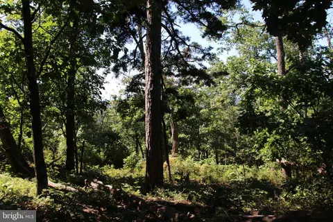 Wolf Spring Trail, Winchester, VA 22602 photo 12