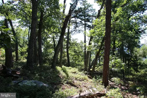 Wolf Spring Trail, Winchester, VA 22602 photo 8