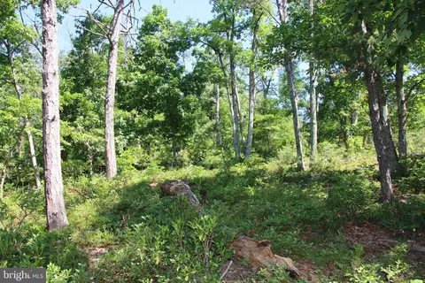 Wolf Spring Trail, Winchester, VA 22602 photo 6