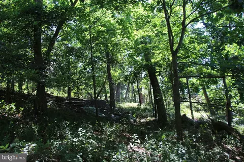 Wolf Spring Trail, Winchester, VA 22602 photo 15