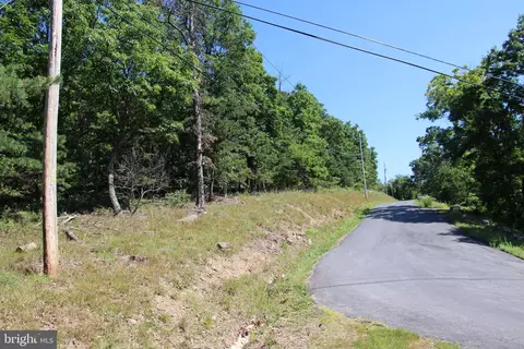Wolf Spring Trail, Winchester, VA 22602 photo 7