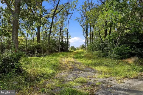 0 Cedar Hill Rd, Clear Brook, VA 22624 photo 10