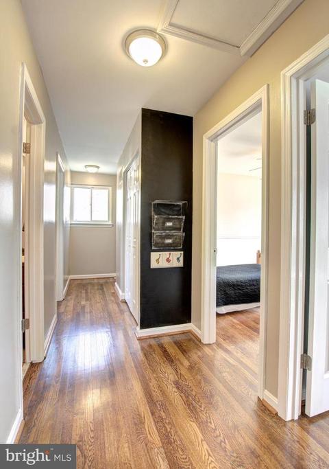 8900 Cromwell Dr, Springfield, VA 22151 photo 28