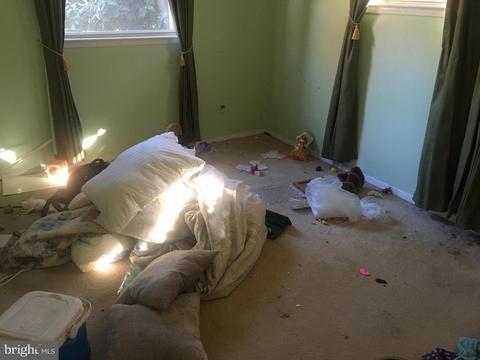 7518 Hogarth St, Springfield, VA 22151 photo 8