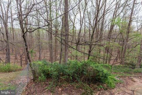 6915 Ashbury Dr, Springfield, VA 22152 photo 22