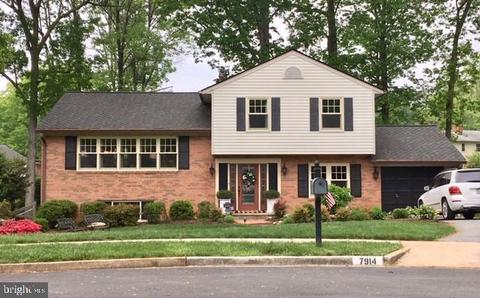7914 Lysander Ct, Mclean, VA 22102 photo 71