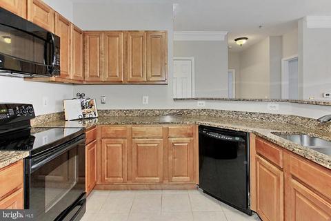 1530 Spring Gate Dr #9221, Mclean, VA 22102 photo 10