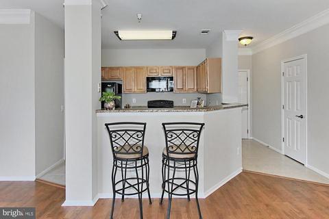 1530 Spring Gate Dr #9221, Mclean, VA 22102 photo 8