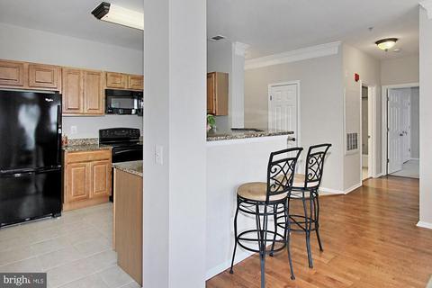 1530 Spring Gate Dr #9221, Mclean, VA 22102 photo 9