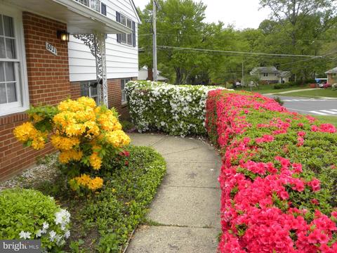 8021 Ellet Rd, Springfield, VA 22151 photo 2