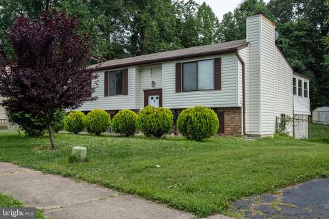 5802 Heming Ave, Springfield, VA 22151 photo 4