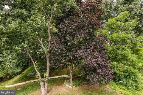 7441 Quincy Hall Ct, Springfield, VA 22153 photo 42