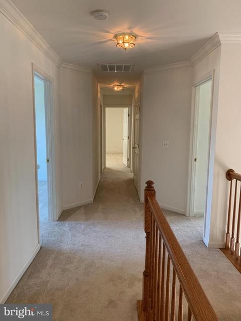 14092 Eagle Chase Cir, Chantilly, VA 20151 photo 14