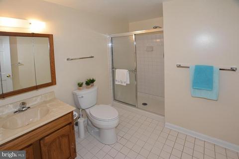6504 Heather Brook Ct, Mclean, VA 22101 photo 43