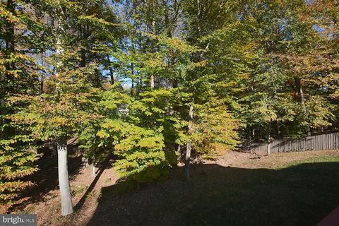 6504 Heather Brook Ct, Mclean, VA 22101 photo 48