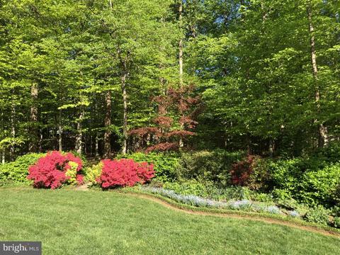 807 Ridge Dr, Mclean, VA 22101 photo 41