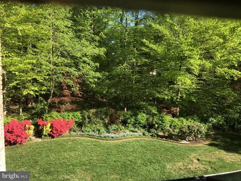 807 Ridge Dr, Mclean, VA 22101 photo 39