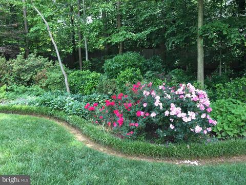 807 Ridge Dr, Mclean, VA 22101 photo 38