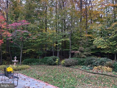 807 Ridge Dr, Mclean, VA 22101 photo 40