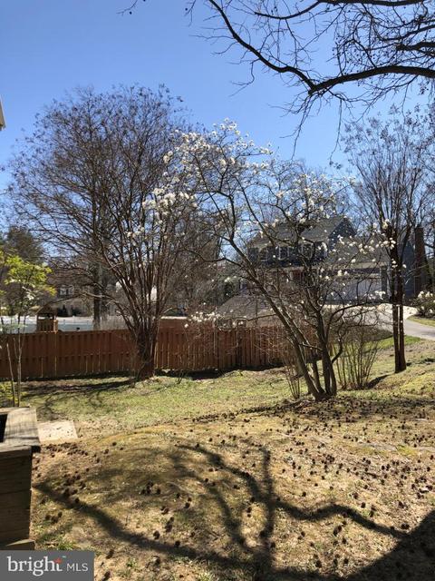 6431 Linway Ter, Mclean, VA 22101 photo 30