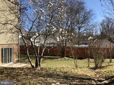 6431 Linway Ter, Mclean, VA 22101 photo 31