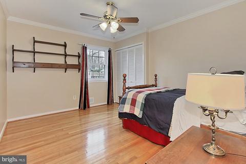 8204 Marcy Ave, Springfield, VA 22152 photo 34