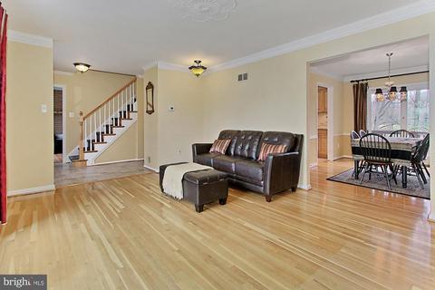 8204 Marcy Ave, Springfield, VA 22152 photo 10