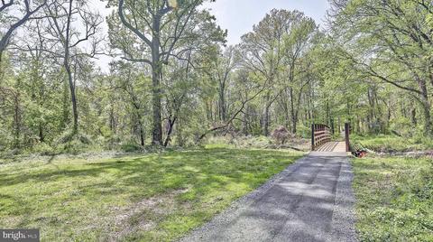 6609 Beverly Ave, Mclean, VA 22101 photo 45