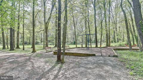 6609 Beverly Ave, Mclean, VA 22101 photo 46