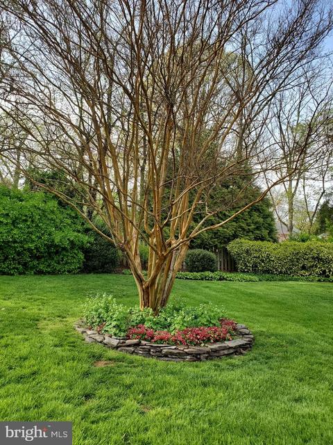 1310 Oberon Way, Mclean, VA 22102 photo 25