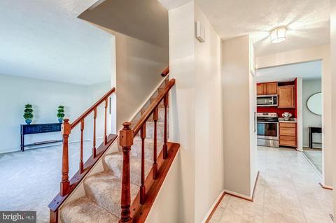 4361 Cub Run Rd, Chantilly, VA 20151 photo 5
