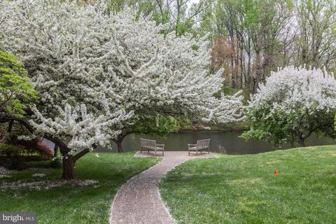 7248 Evans Mill Rd, Mclean, VA 22101 photo 34